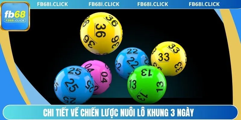 Chi tiết về chiến lược nuôi lô khung 3 ngày